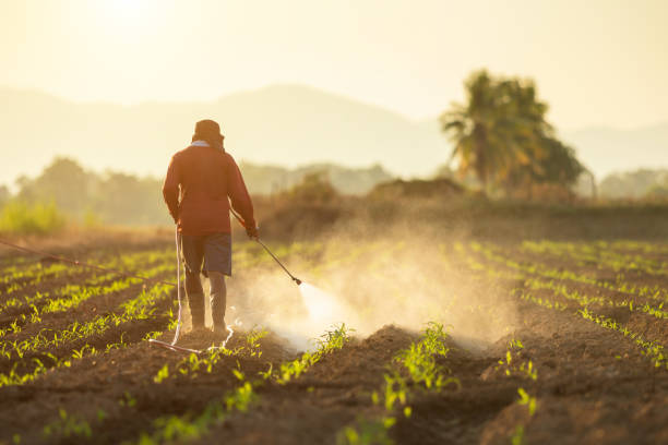 spraying-weedicides