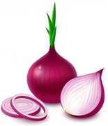 Onion