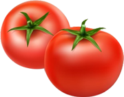 Tomato